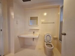 The Cairnhill (D9), Condominium #559997951